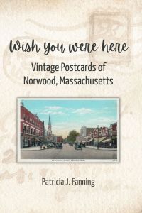 Wish You Were Here by Patricia J. Fanning